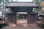 豪徳寺の写真