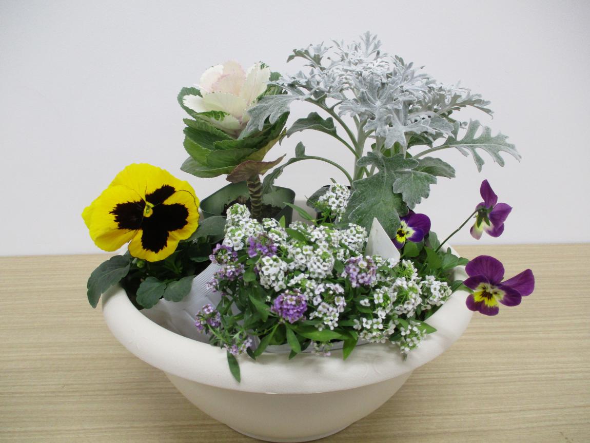 今年の花