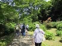 小石川植物園