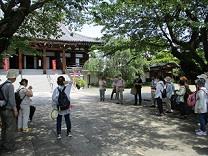 伝通院