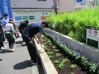 駅前花壇作業の様子2