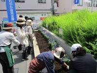 駅前花壇作業の様子1