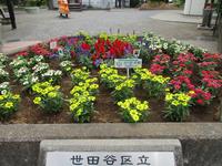 公園3