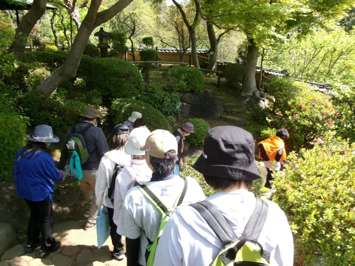 等々力渓谷公園の日本庭園を歩く様子