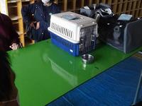 ペット同行避難訓練のようすの写真2
