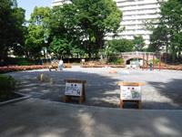 希望ヶ丘公園