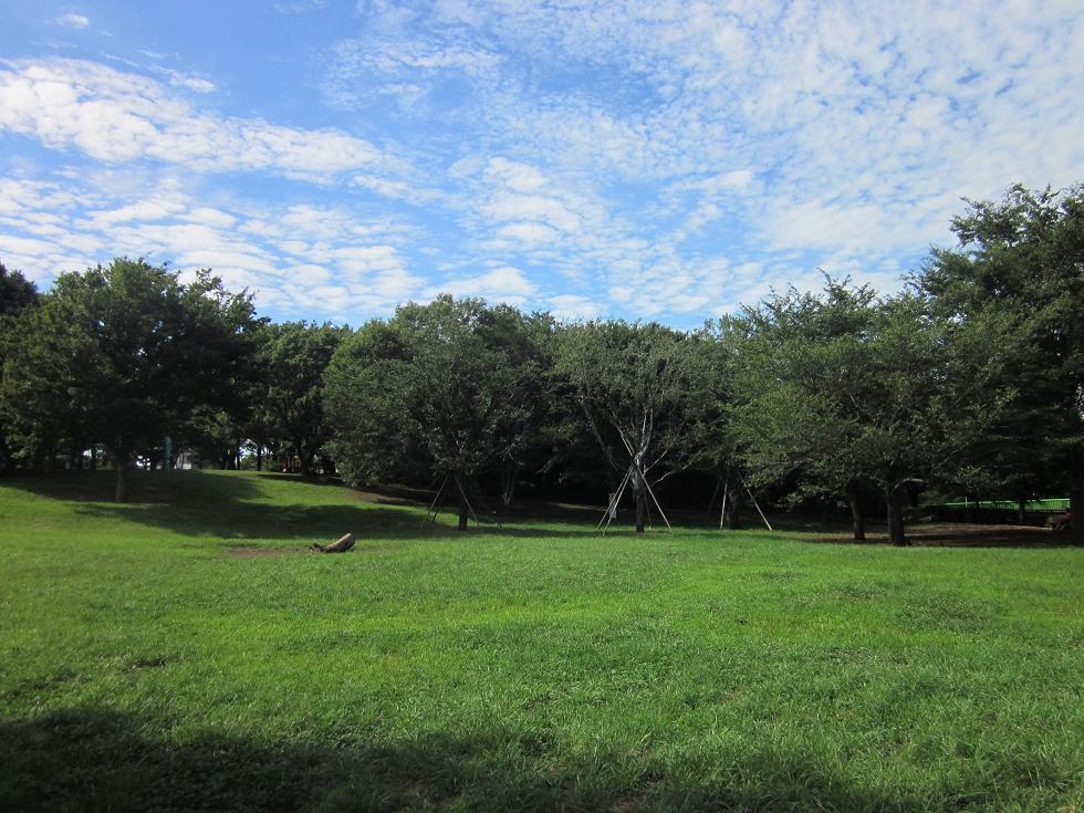 祖師谷公園　はらっぱの写真