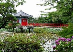 烏山寺町(北烏山）の写真