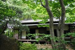 北烏山九丁目屋敷林