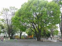 上北沢公園