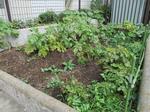 大蔵保育園の写真3