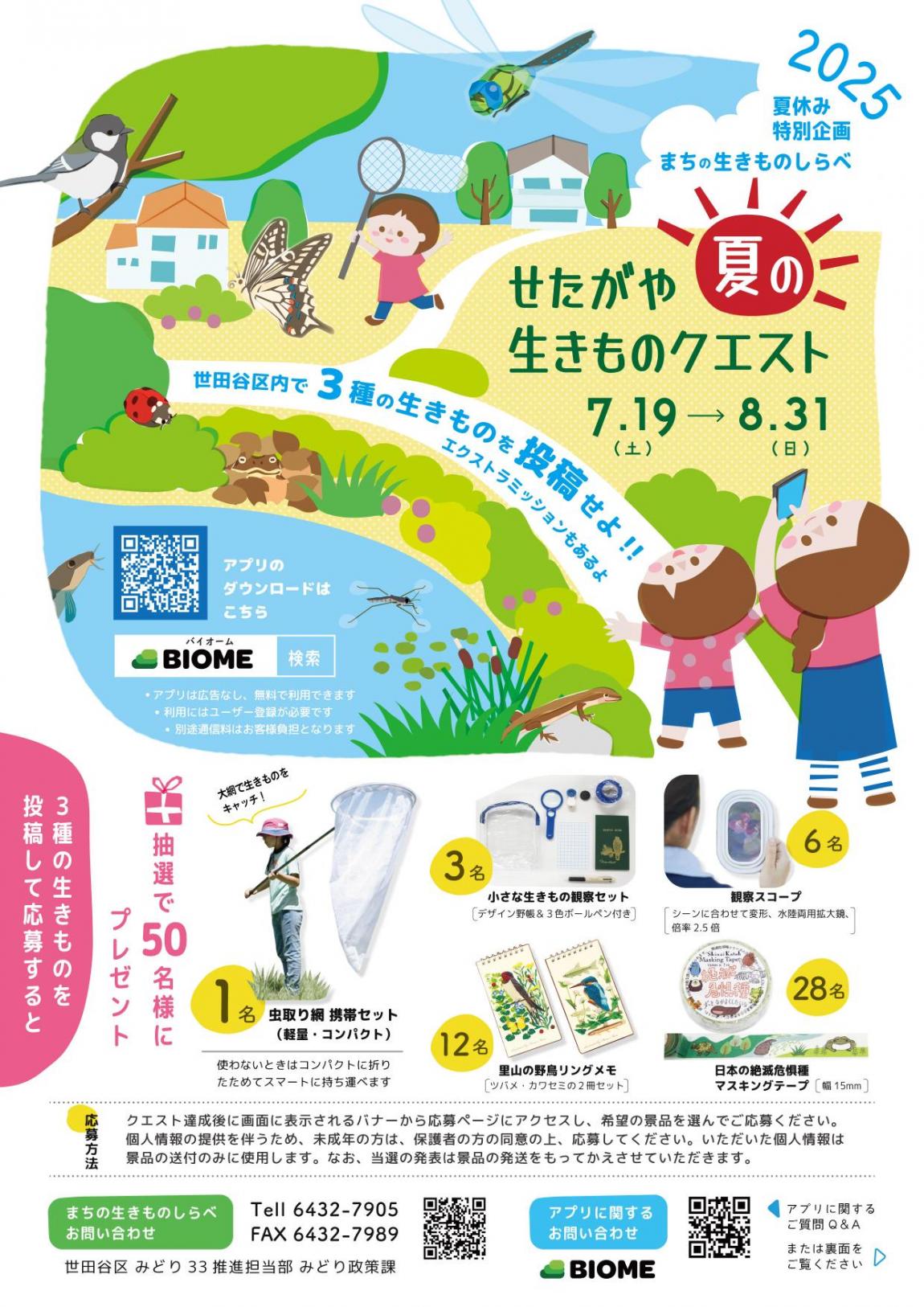 いきものチラシ