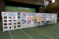 展示1