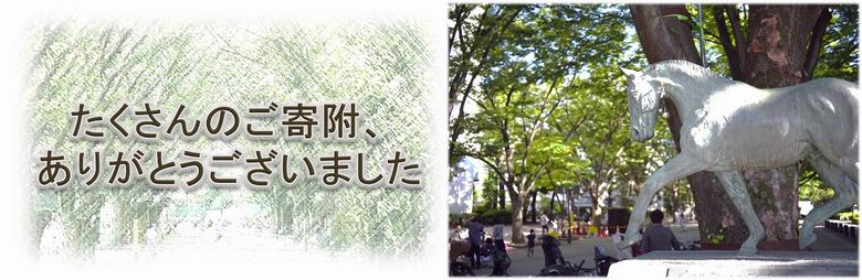 馬の写真