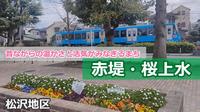 松沢サムネイル
