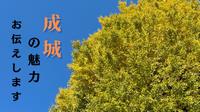 成城サムネイル