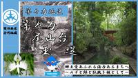 等々力サムネイル