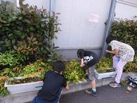 種まきの画像1
