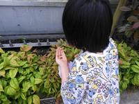 種まきの画像2