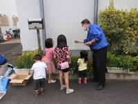 種まきの画像
