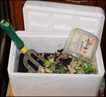 発砲スチロール