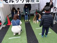 シモキタ2