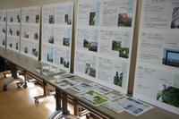 展示1