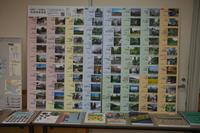 展示2