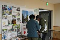 展示6