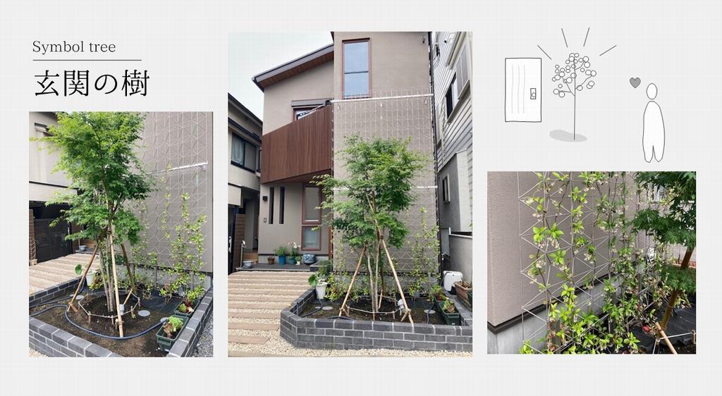 シンボルツリーの紹介2