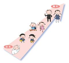 お子さんのライフステージのイメージ図