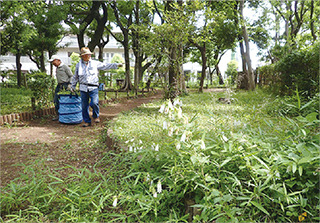 生きものが集まる明るい草地をめざして