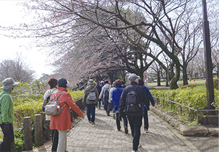 春を感じながら歩きませんか