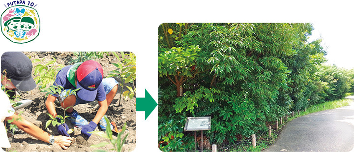 「世田谷いのちの森」　平成24年にみんなで植樹した苗木がこんなに大きくなりました！