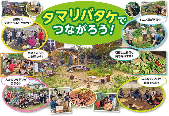 タマリバタケでつながろう！