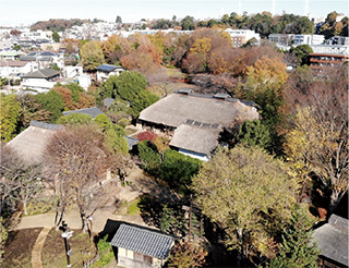 次大夫堀公園民家園のドローン空撮