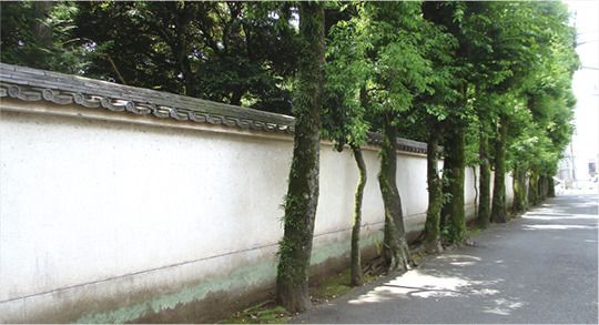 喜多見・歴史の道～慶元寺・氷川神社界わい