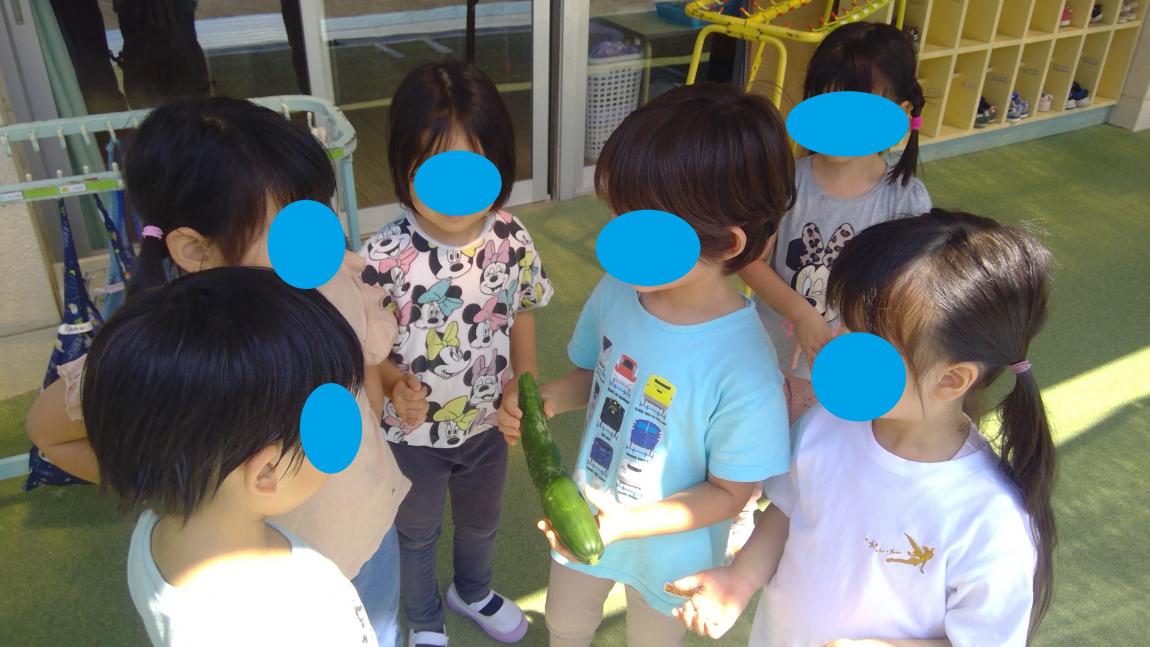収穫を喜ぶ子どもの姿