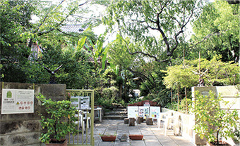 松原一丁目日章館亀井邸市民緑地
