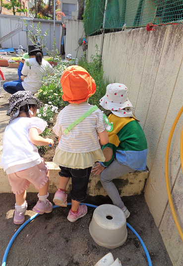 虫探そう