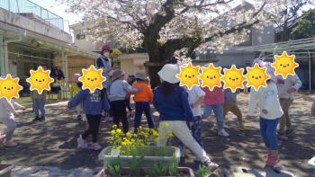 桜の下
