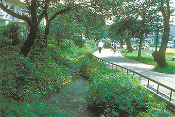北沢川緑道のせせらぎ（北沢用水跡）