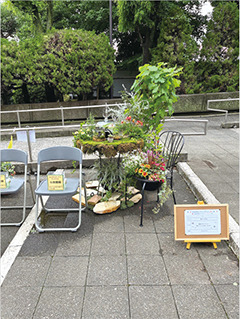 出展作品の一例（昨年度展示）