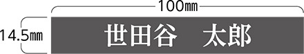 東棟エントランスホールのレリーフ裏の銘板に氏名を掲出します