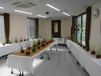 さぎ草展会場