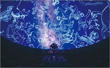夏の星座絵の写真
