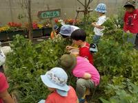 希望丘保育園のっぱらで遊ぶ子供たちの様子