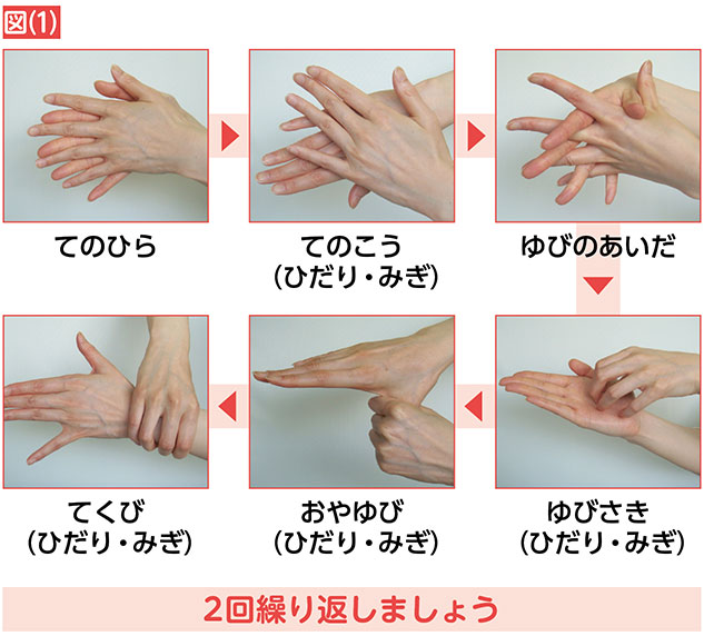 正しい手の洗い方の図