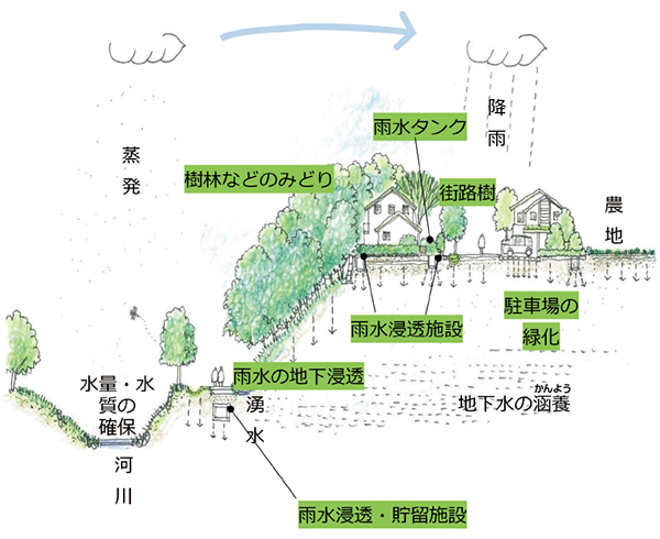 支えあう「自然の中での水循環」と「みどり」のイラスト