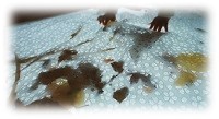 デジタルネイチャー1